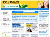 Public Manager